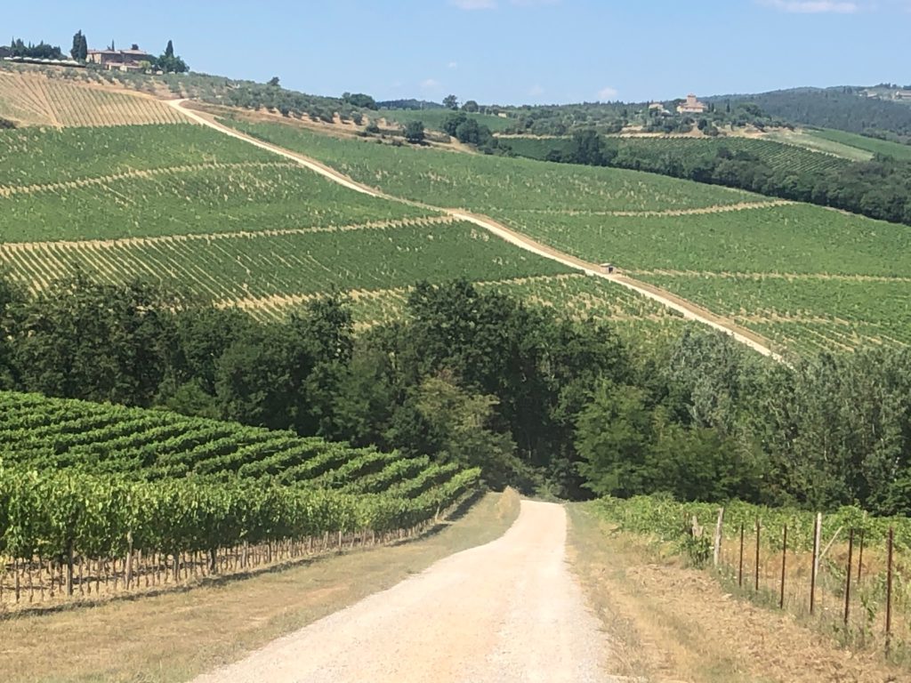 gravel bike tours italy